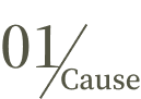 01Cause