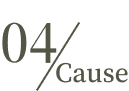 04Cause